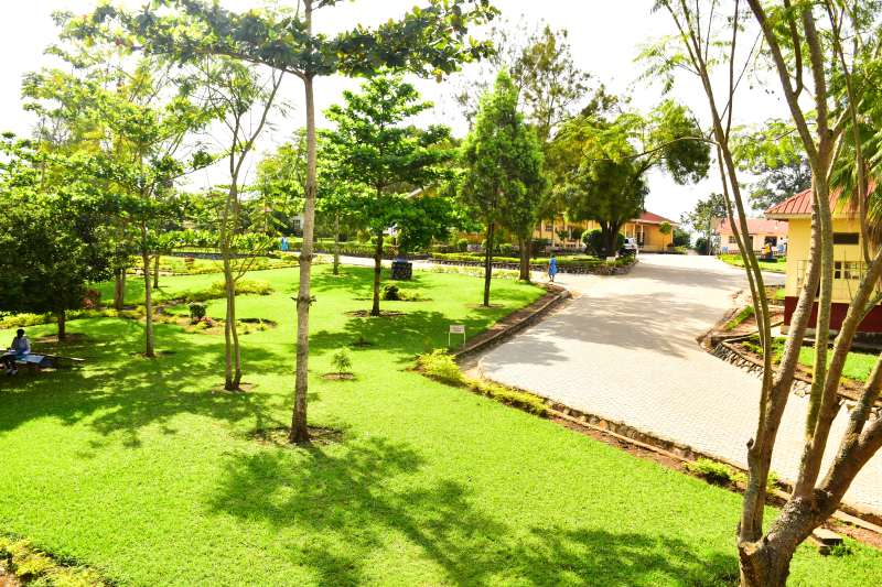 School's green learning environment